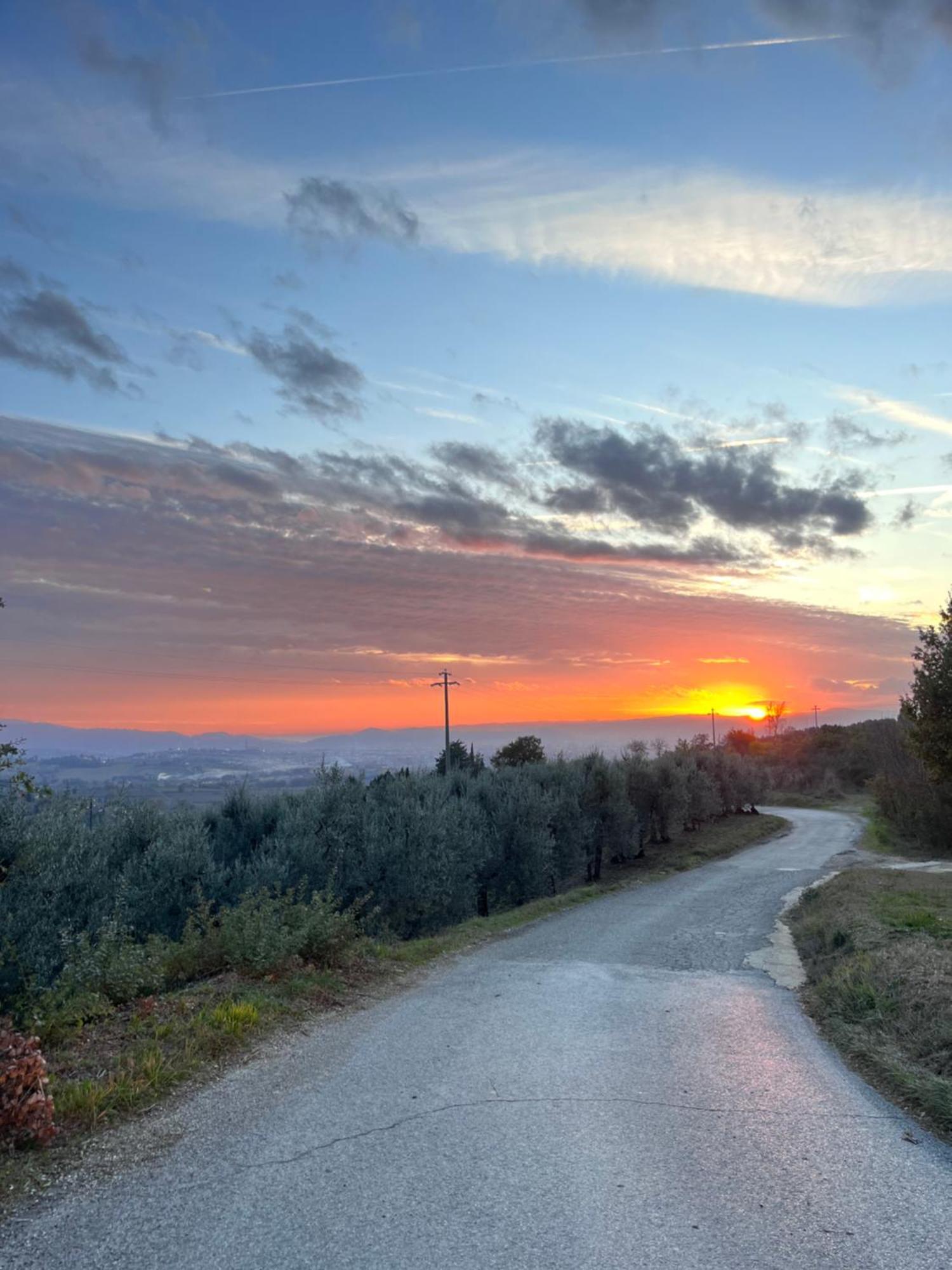 Le Case Di Anita In Toscana - Αρέτσο Εξωτερικό φωτογραφία